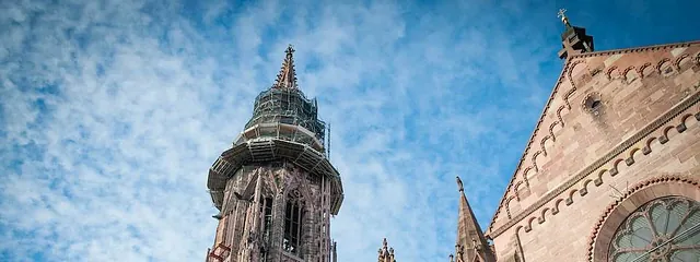 Hungry Birds - Kulinarische Stadttouren Freiburg Nachmittags